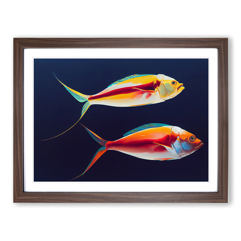 Prime Fish - Single Picture Frame Print, 25cm H x 34cm W x 2cm D, Walnut Framed