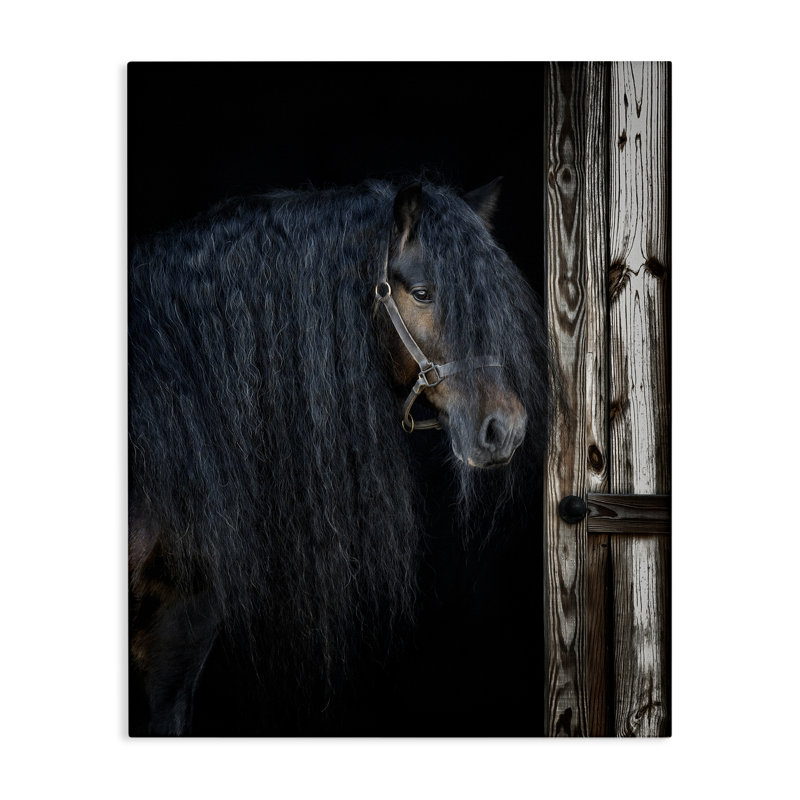 Cheval avec crinière ondulée, art mural par PHBurchett, H 20 po x l 16 po