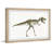 Brodsky 'Tyrannosaurus Skeleton' Framed Print-798384401