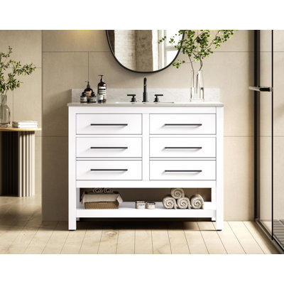 42 inch Single Bathroom Vanity_Modern_VF60542-BS
