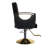 Hydraulic Salon Chair (Single Pack)