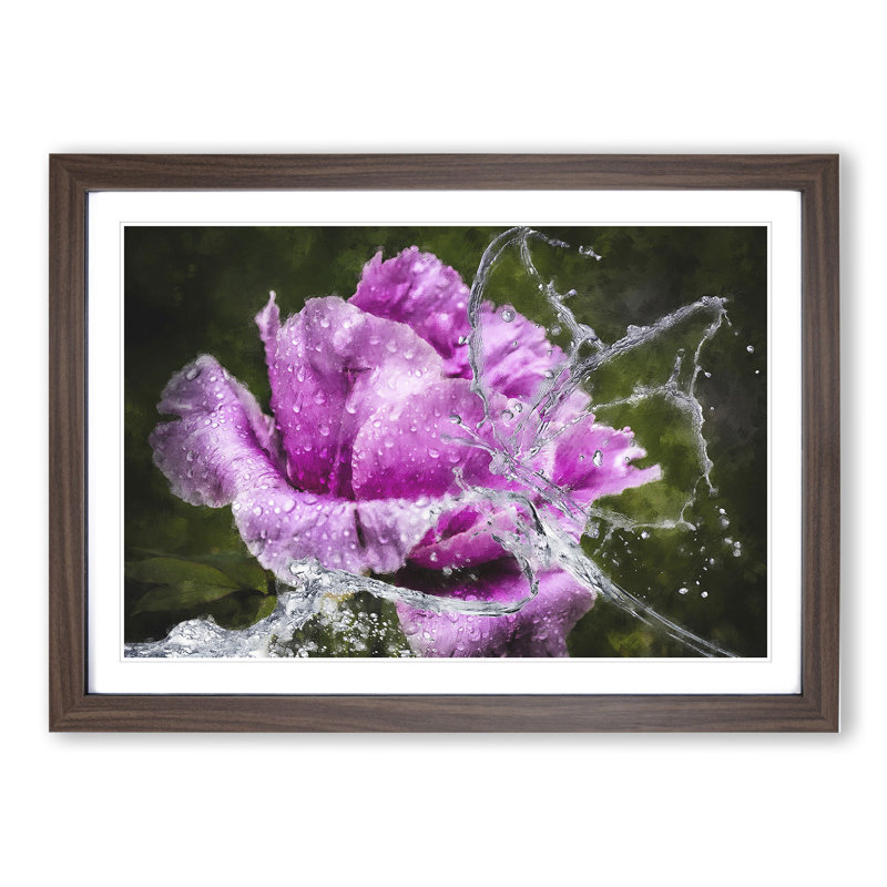 Purple Peony Flower Vol.2 - Framed Print, 27cm H x 36cm W x 2cm D, Walnut Framed