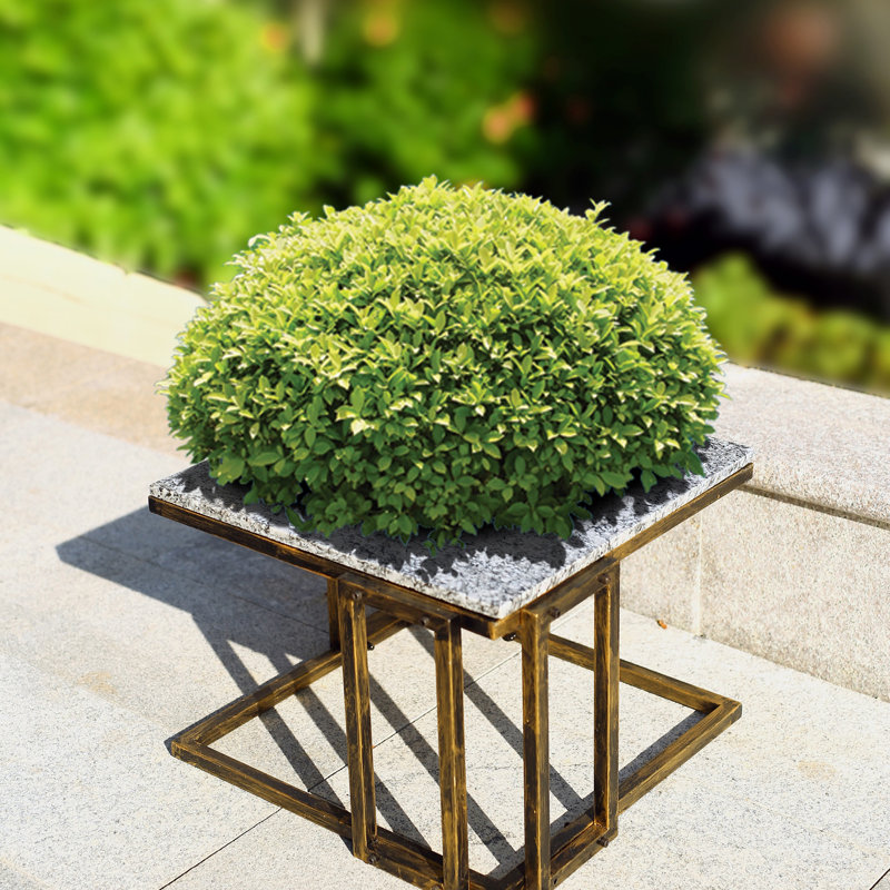Support pour plante en marbre granit noir / doré 14,5 po