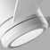Rodrick Ceiling Fan with LED Lights