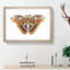 Atlas Moth by George Shaw - Framed Print-55456959-55456958