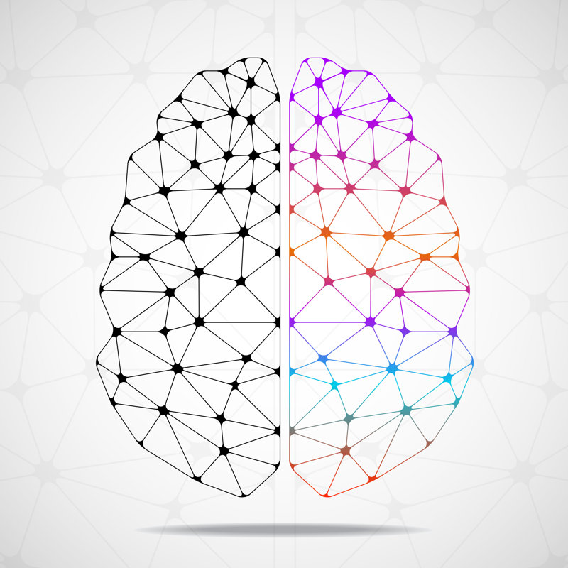 Geometric Brain Abstract - Wrapped Canvas Print, 51cm H x 51cm W x 3.8cm D