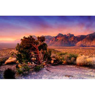 " Red Rock Canyon, Nevada " by Coleong