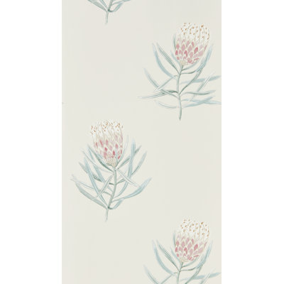Protea Flower