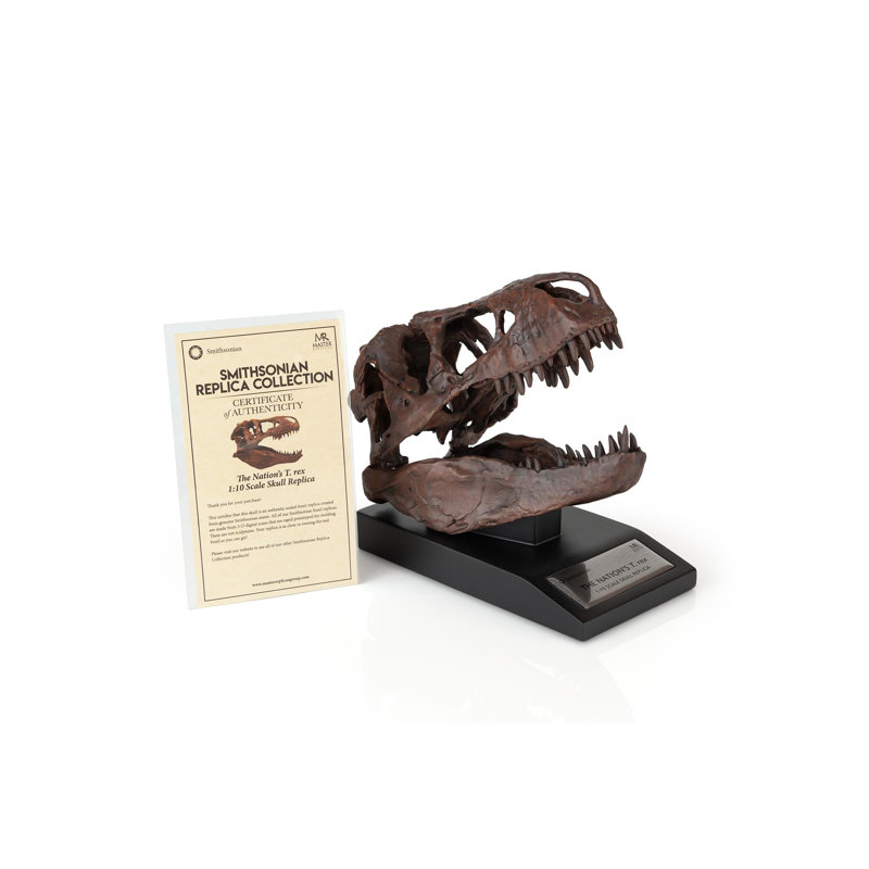 Statue tête de mort Haim T-rex