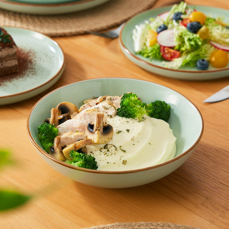RENIOO Piece Stoneware Dinnerware Set - Service for 4, Green