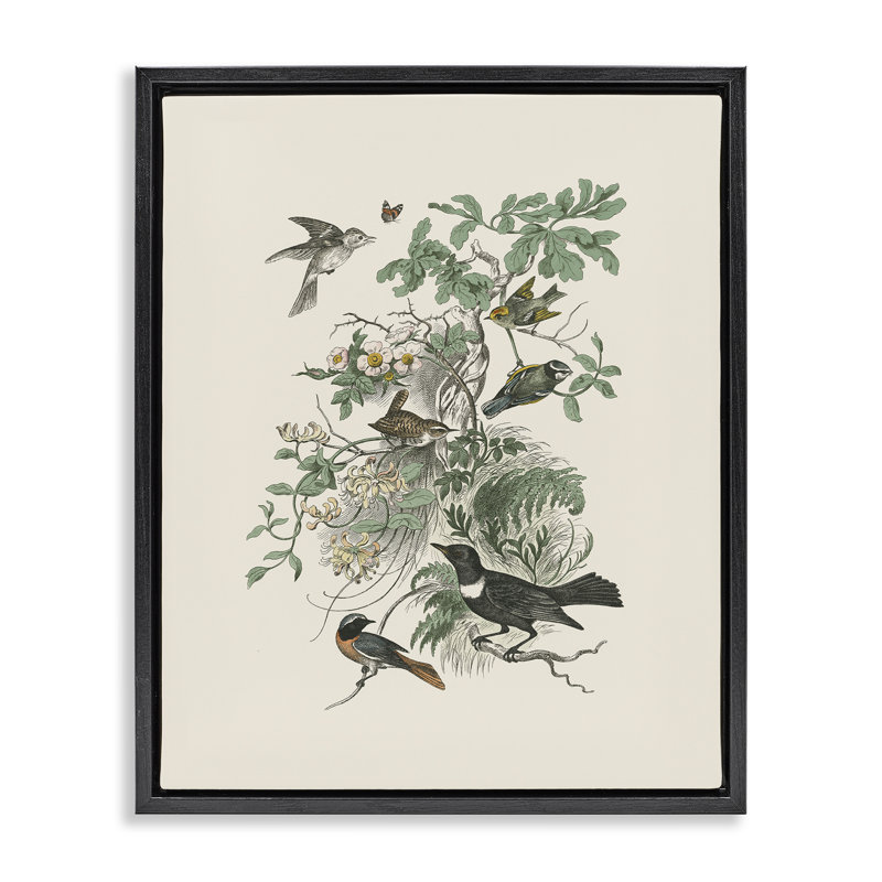 "Divers oiseaux", art mural encadré flottant rétro, design par Wild Apple Portfolio, H 21 po x l 17 po