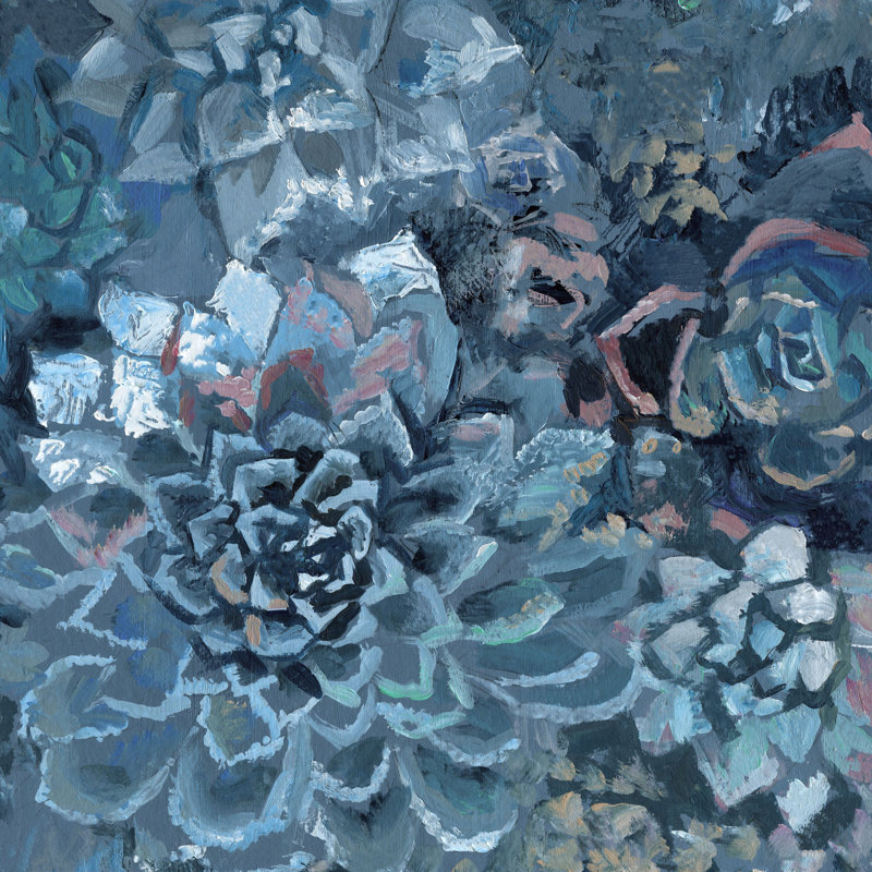 « succulent jardin », reproduction de peinture à l’acrylique sur toile tendue, H 12 po x l 12 po x P 1,5 po