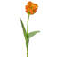 Perroquet doux au toucher 28 po -1420486990