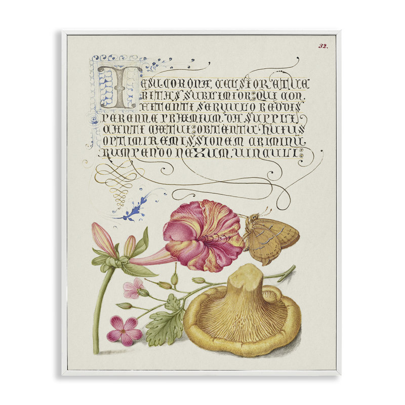 Art de la giclée de Woodland Wildlife Study par Grace Popp, Estampe numérique encadrée blanc bord de mer, H 30 po x l 24 po
