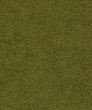 Starlight Fabric