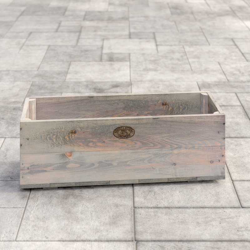 Planter Fsc 100%