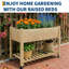Wood Planter-1237070649-1237070654