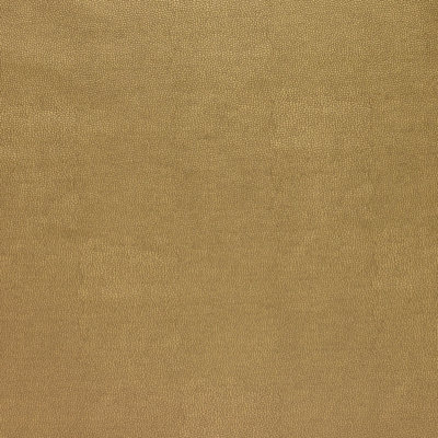 Sparta Design Fabric