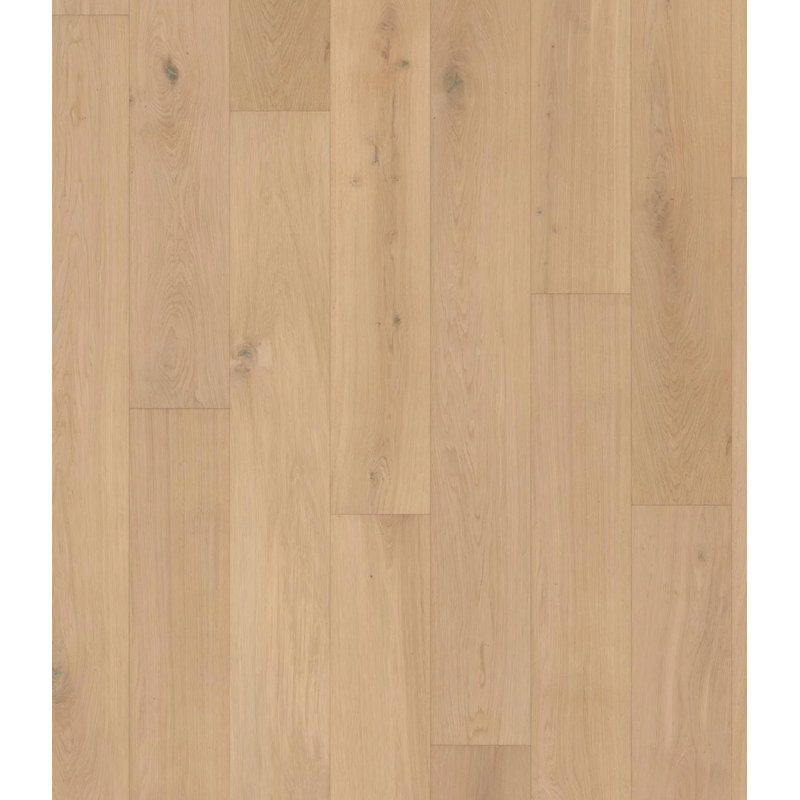 Chêne Europe de l'Ouest Elowen d'ingénierie 7/8 po x 7,5 ° x 96 po avec couche supérieure de 6 mm (75% 96 po de long)