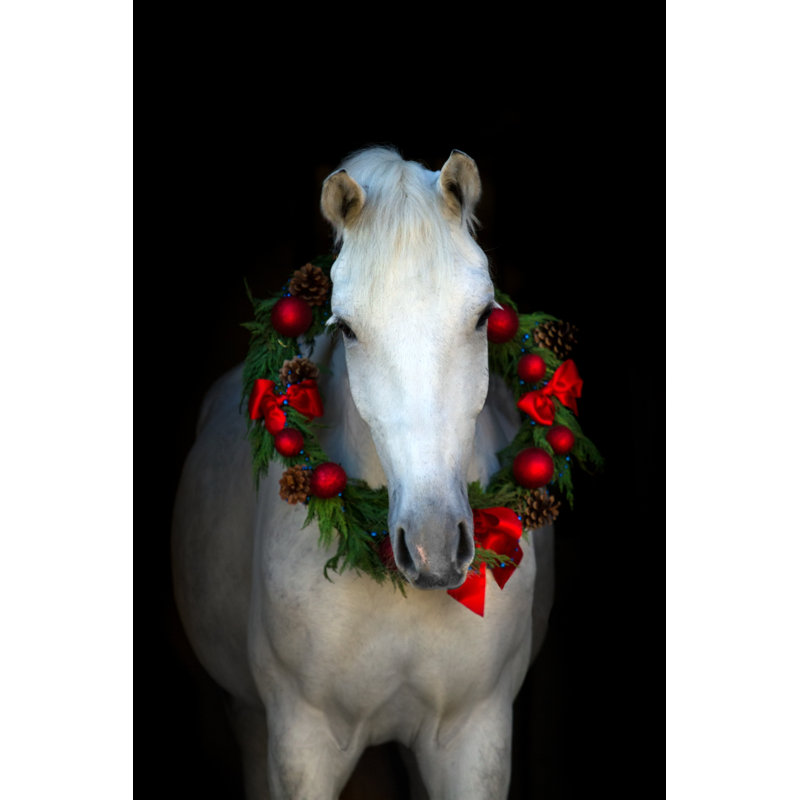 «White Horse in Chistmass» par Callipso - photographie sur toile tendue, H 48 po x l 32 po x P 1,25 po