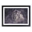 Lion in the Mist - Framed Print-56859920-56859921