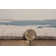 Tapis fait main Equelle ivoire et cobalt