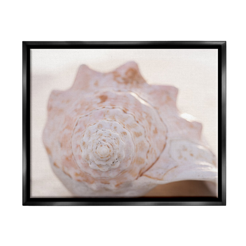 «Beach Life Conch Shell», photographie sur toile flottante par Elena Ray, Toile avec cadre flottant noir