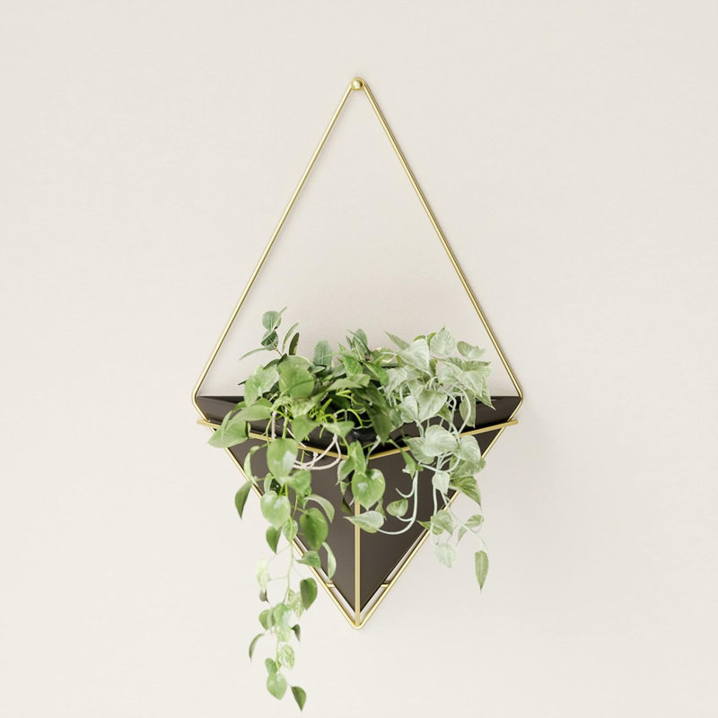Trigg Hanging Planter Vase Wall Decor, Pot And Container For Succulents, Cactus, Faux Plants, And More, Large, Black/Brass, 1