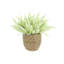 Heather in Strawgrass Pot-1961168783