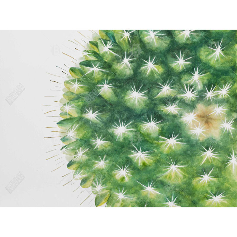 Ensemble de 4 napperons en polyester tressé - Mini cactus aquarelle