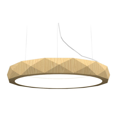 1 - Light LED Unique/Statement Pendant