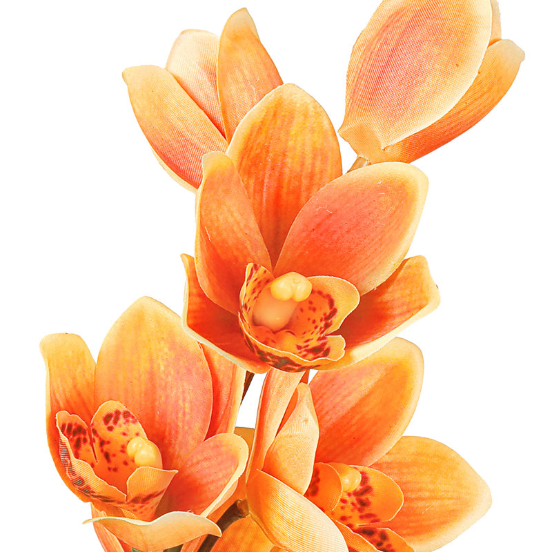 Vaporisateur de tige de plante artificielle Cymbidium Orchid, Orange