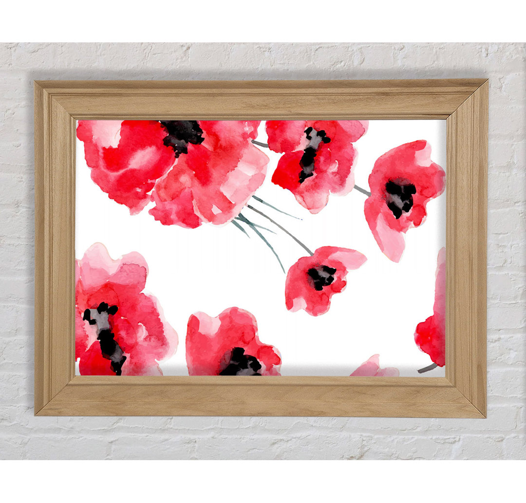 Just Poppies - Einzelne Bilderrahmen Kunstdrucke