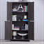 Logan Accent Cabinet