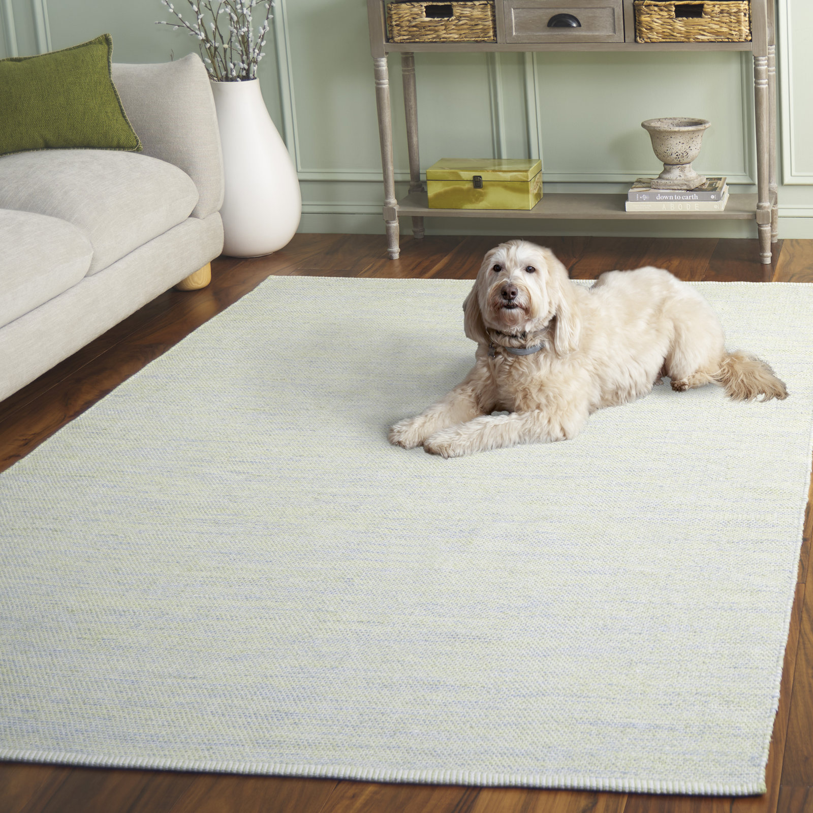 Dallis Green Ivory Handmade Cotton Rug, Rectangle 8' x 10'