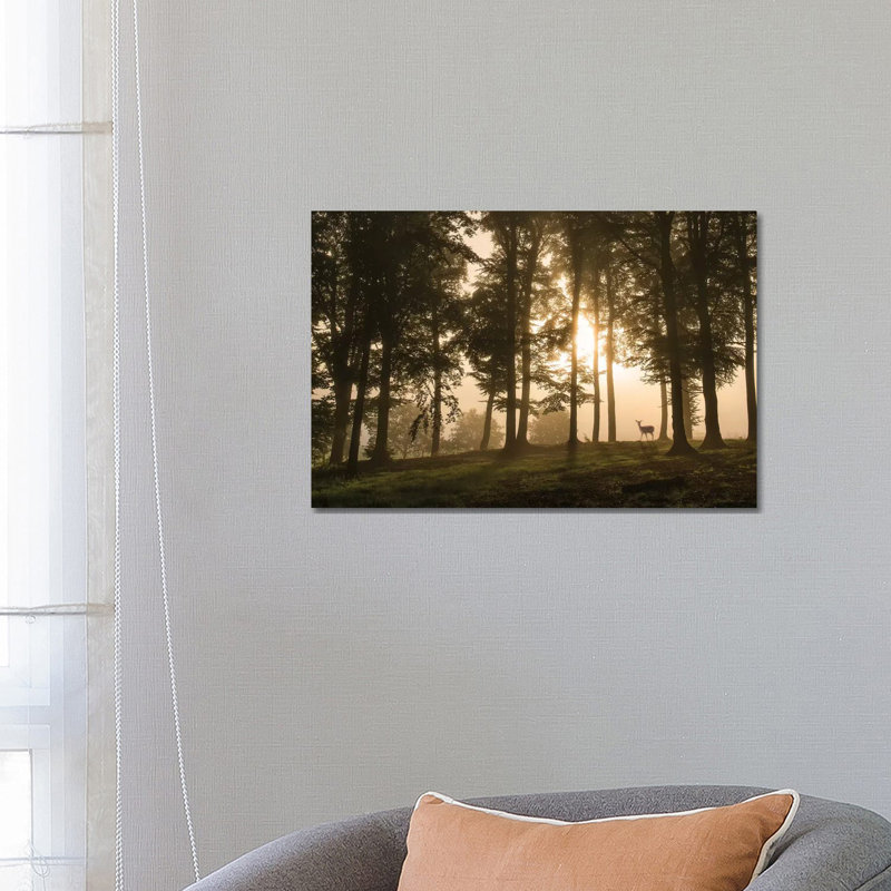 Deer In The Morning Mist. by Leif Londal - Print on Canvas, Wrapped Canvas, 45.72cm H x 66.04cm W x 3.81cm D