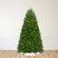 168' H Lighted Artificial Fir Christmas Tree