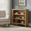 Censu Balyor Painted Oak Small Bookcase