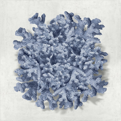 " Coral Indigo II " by Caroline Kelly