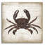 «Crab I» par Erin Clark, art mural en verre acrylique-332076040