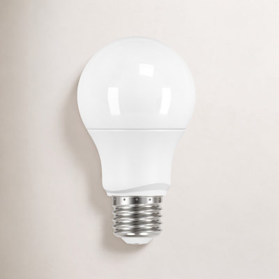 Roderick 6W A19 LED Non-Dimmable Bulb