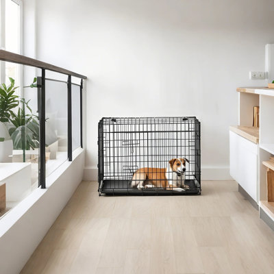 Cage pour chien Tucker Murphy Pet ™, plateau amovible, chenil pliable pour chien de 36,4 pouces avec 2 portes, cage pour chien en métal, L