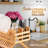Dinnerware Storage Set