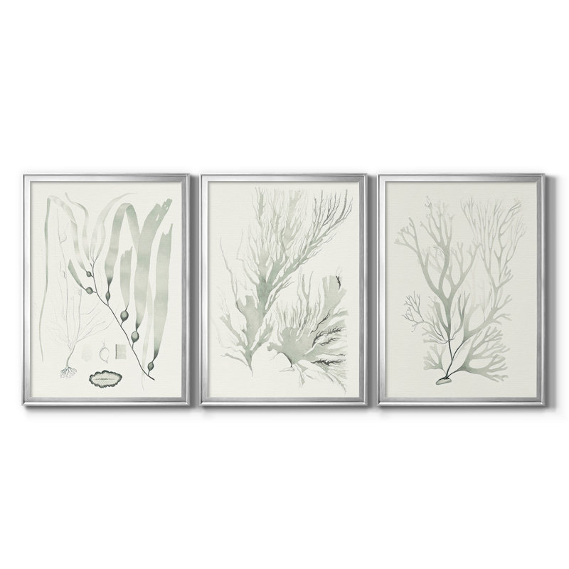 Sage Green Seaweed III - Toile tendue avec châssis sur mesure - 3 pièces, Argent argent, H 19 po x l 27 po