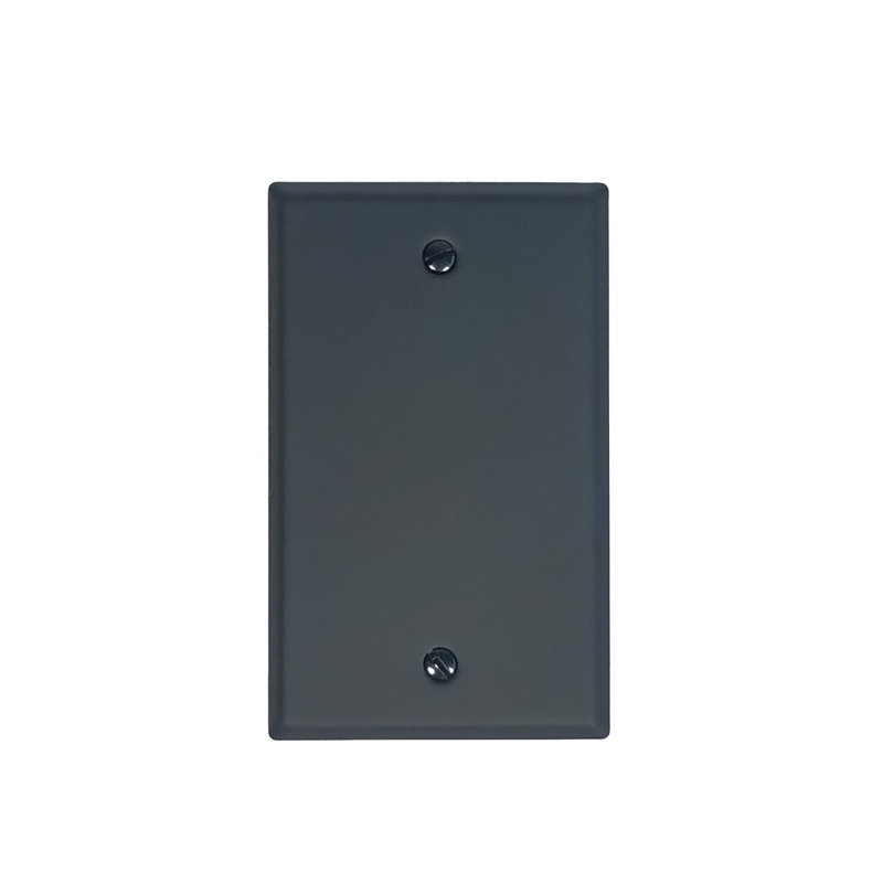 Blank Wall Plate