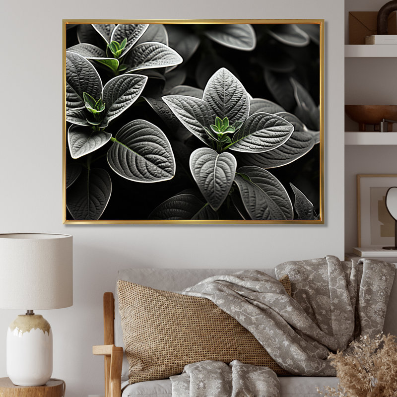 Plantes grises, sérénité botanique sur toile, H 24 po x l 32 po x P 1 po, Cadre flottant doré