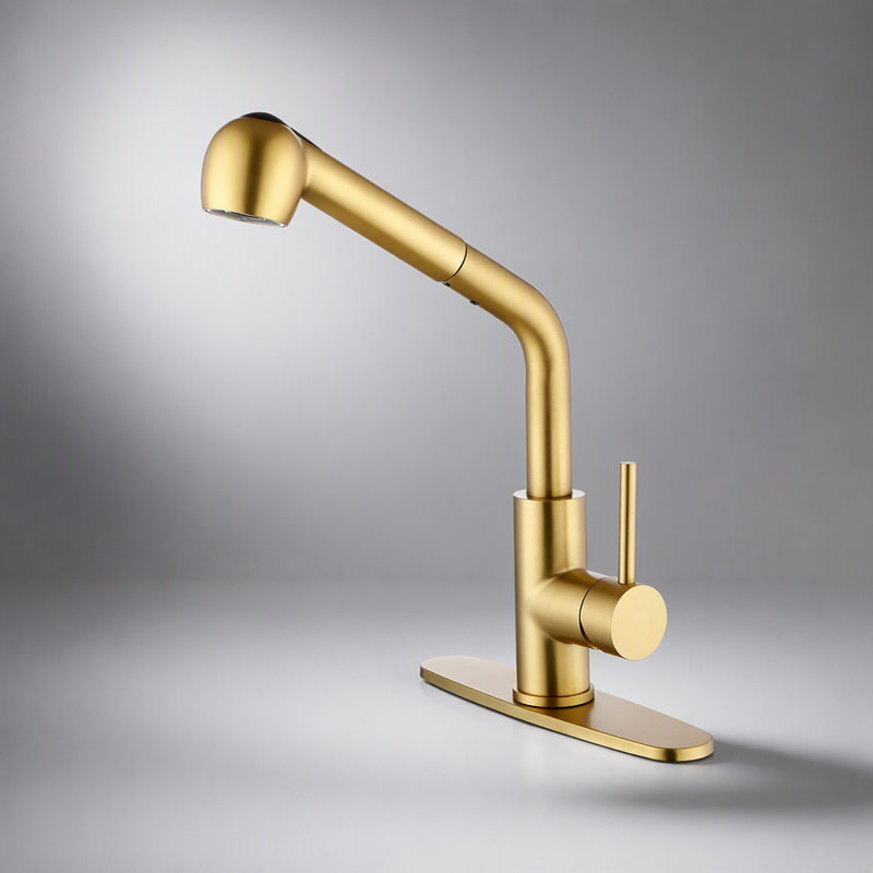 Robinet d'évier de cuisine à poignée unique avec douchette extractible, contrôle facile de la température et deux modes d'eau pour une utilisation polyvalente