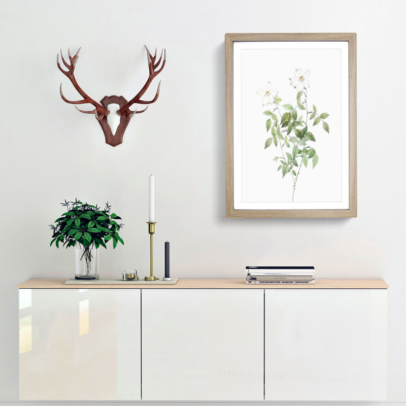 White Blooming Roses by Pierre-Joseph Redoute - Framed Print, 48cm H x 36cm W x 2cm D, Oak Framed