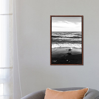 Seagull I by Donnie Quillen - Print on Canvas