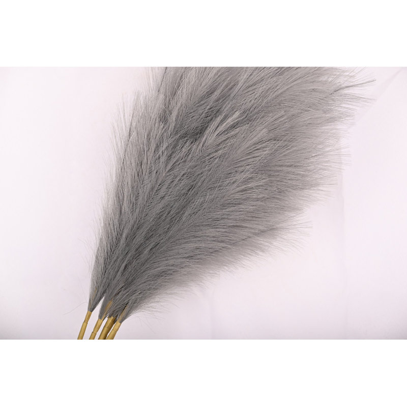 Pampas, Gris, H 43 po x l 8 po